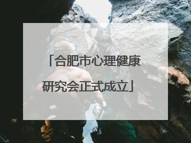 合肥市心理健康研究会正式成立